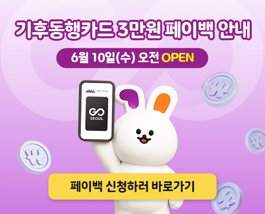 기후동행카드 3만원 페이백  안내