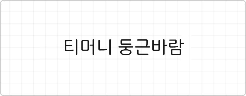 티머니 브랜드로고 영문 이미지