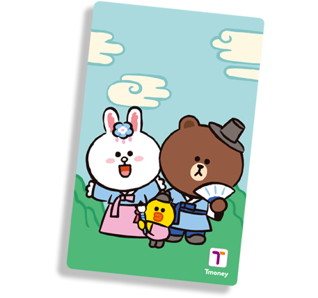 외국인전용카드
