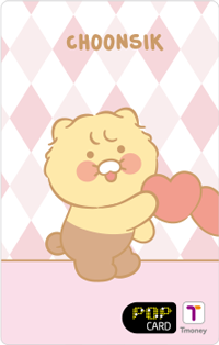 티머니 카드리스트