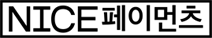 나이스페이먼츠